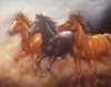 galerija slika konji